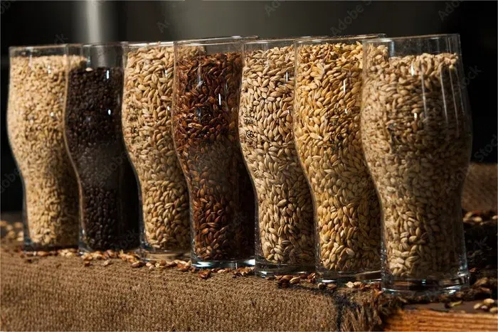 精釀啤酒原料-山東天泰<a href=http://www.toteng.com.cn/ target=_blank class=infotextkey>啤酒設備</a>