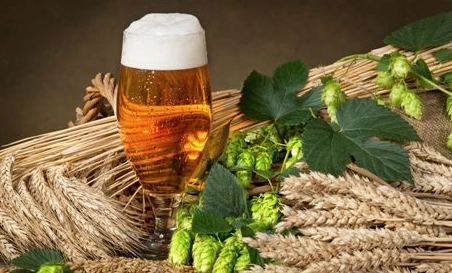 精釀啤酒設(shè)備廠(chǎng)告訴你怎樣從外觀檢查發(fā)酵情況