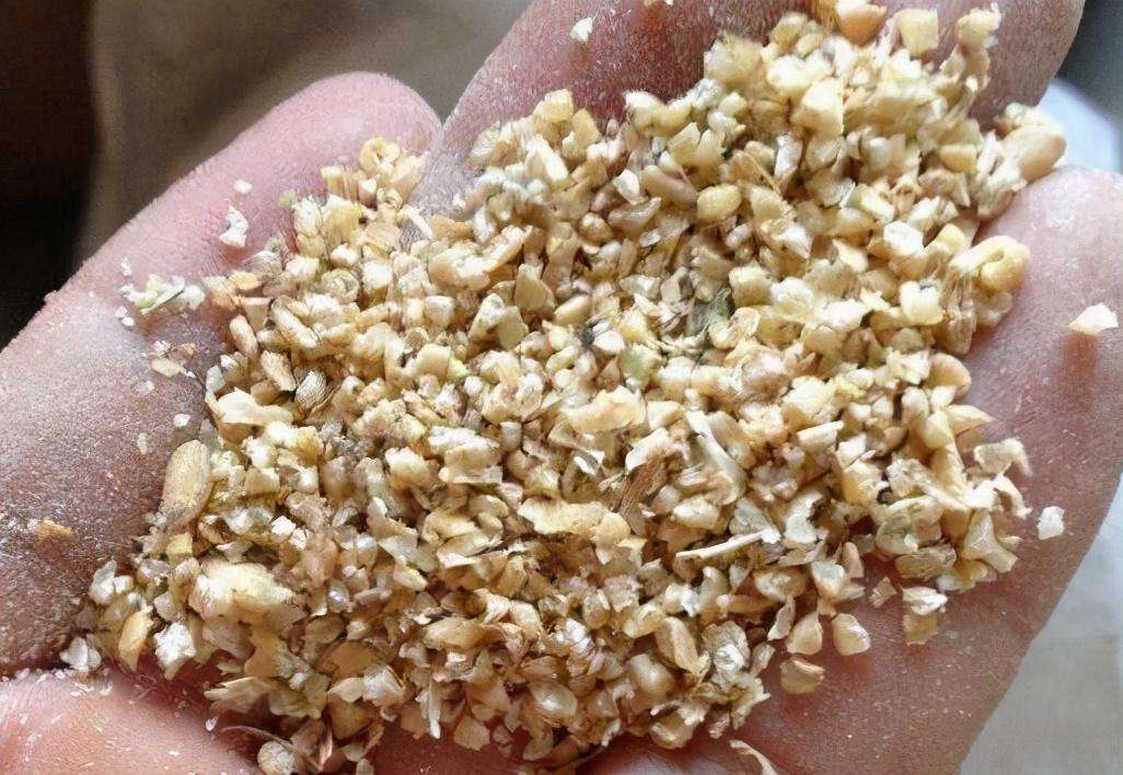 精釀啤酒設(shè)備,啤酒廠設(shè)備,開辦啤酒廠,濕法粉碎機