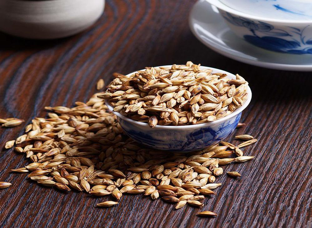 天泰啤酒設(shè)備專家分享的大麥的浸漬常識(shí)